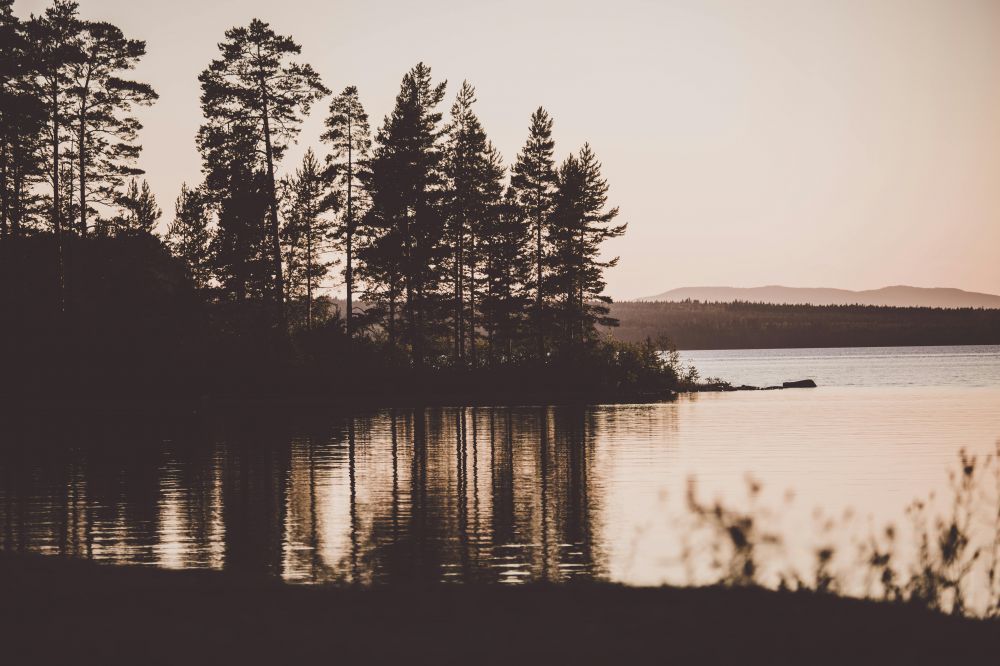 Maximera er konferens med Dalarna som bakgrund